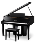 Kawai NV12