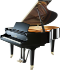 Shigeru Kawai SK-3 | Conservatory Grand